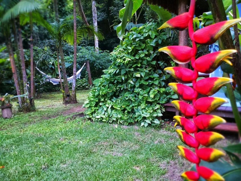 Sumatra Ecolodge Sao Sebastiao (Sao Paulo) Exterior foto