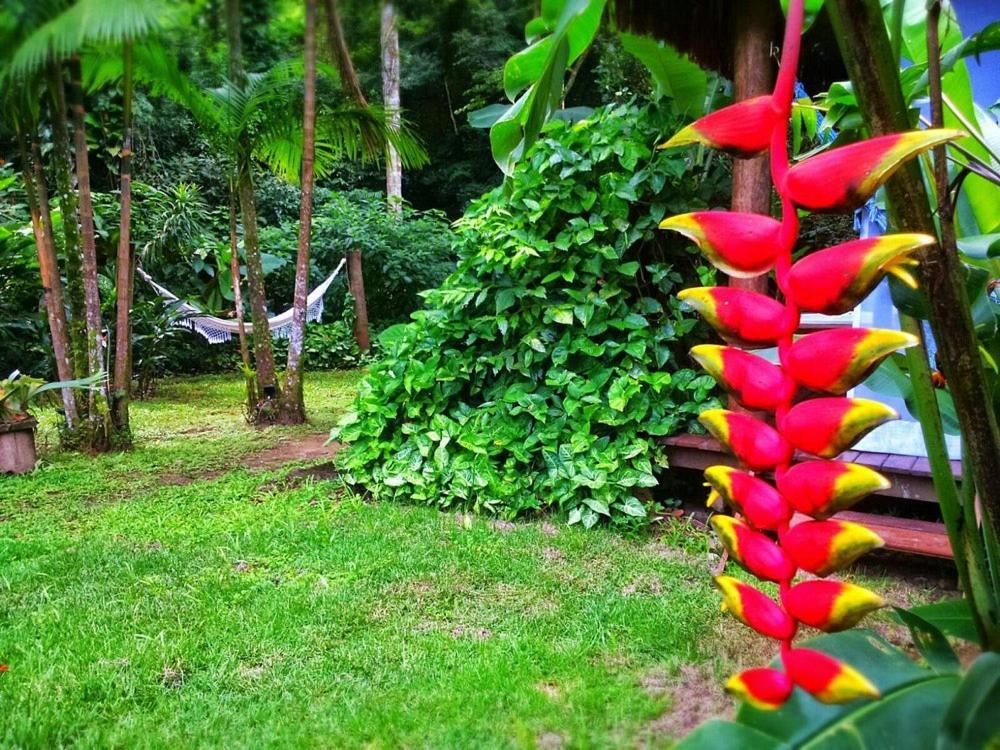Sumatra Ecolodge Sao Sebastiao (Sao Paulo) Exterior foto